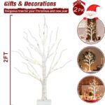 2FT Lighted Birch Tree with 24 Warm White LED  Fairy Lights – Battery Powered Christmas Decoration  with Timer, Indoor Home Decor - Image 6