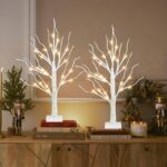 2FT Lighted Birch Tree with 24 Warm White LED  Fairy Lights – Battery Powered Christmas Decoration  with Timer, Indoor Home Decor