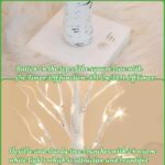 2FT Lighted Birch Tree with 24 Warm White LED  Fairy Lights – Battery Powered Christmas Decoration  with Timer, Indoor Home Decor - Image 4