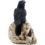 Skull Halloween Home Decor , Gothic Crow on Skull Statue, Resin Raven Perched on Skeleton Figurine - Image 2