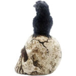 Skull Halloween Home Decor , Gothic Crow on Skull Statue, Resin Raven Perched on Skeleton Figurine - Image 5