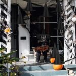 Halloween Witch Hats For Sale , Halloween Horror Night 2025 ,Witch Costume Accessories - Image 9