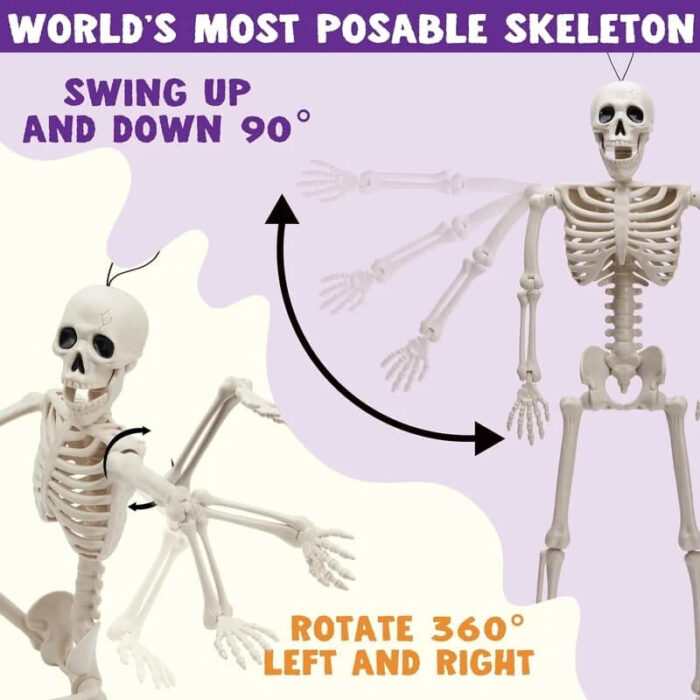 Halloween Skeleton Decorations , Halloween Skeleton Sale , Halloween Store - Image 5