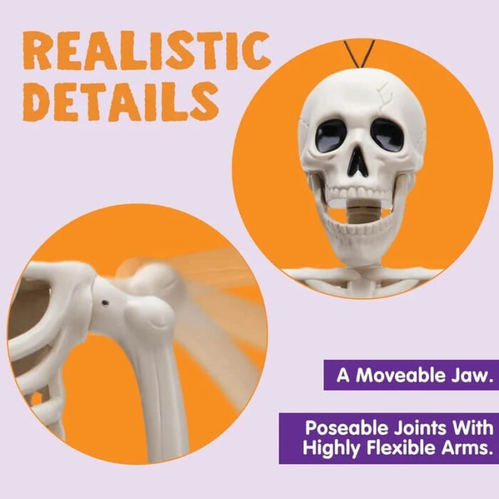 Halloween Skeleton Decorations , Halloween Skeleton Sale , Halloween Store - Image 7