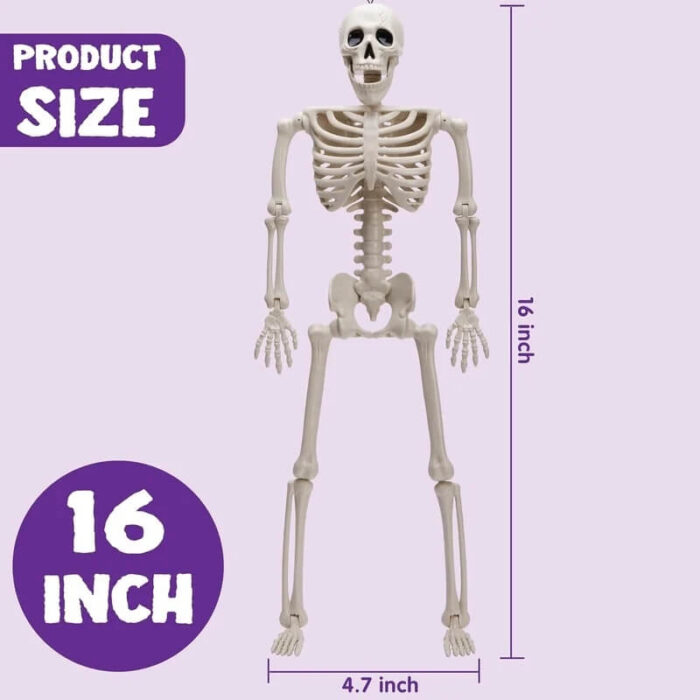 Halloween Skeleton Decorations , Halloween Skeleton Sale , Halloween Store - Image 6
